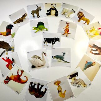 Team Tree Tiere- tierisch gut aufgestellt